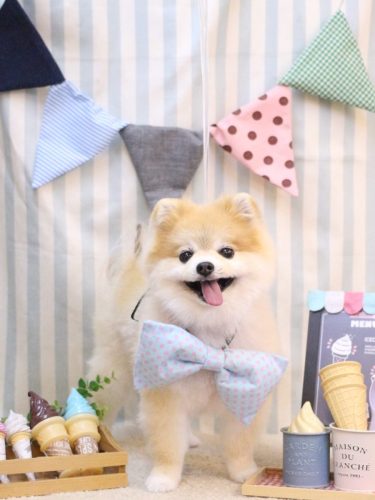 20250517モコくん